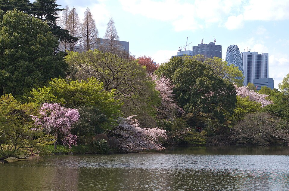新宿高層ビル群遠景