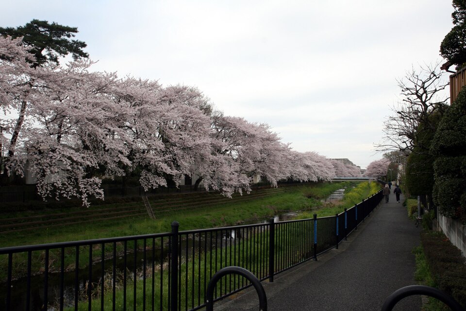 大橋前